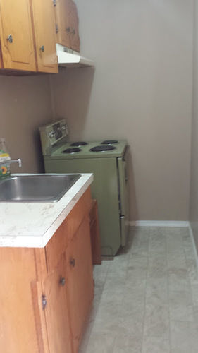 Travellers Rest Motel Salmon Arm Bagian luar foto